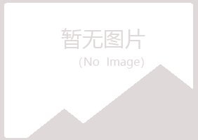 大安夏日化学有限公司